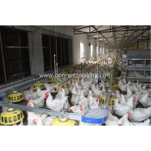 Breeder Pan Feeding system